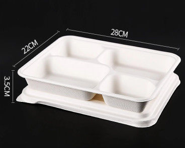 Recicle las bandejas los 28cm biodegradables disponibles del almuerzo