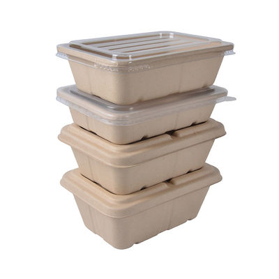 Envases de comida para llevar herméticos disponibles del bagazo