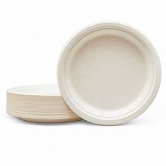 2 placas disponibles de la caña de azúcar de papel renovable del compartimiento para la porción de la tabla