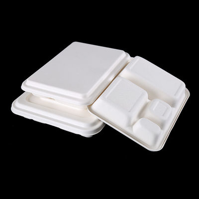 Placas abonablees del almuerzo 4 de Eco de la caña de azúcar amistosa del compartimiento