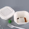 Envases de comida impermeables a la grasa biodegradables de la pulpa del bagazo